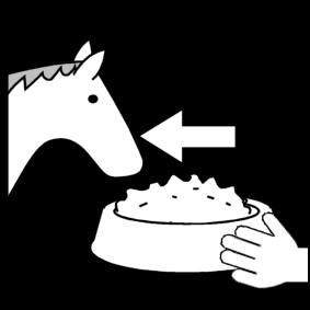 paard eten geven